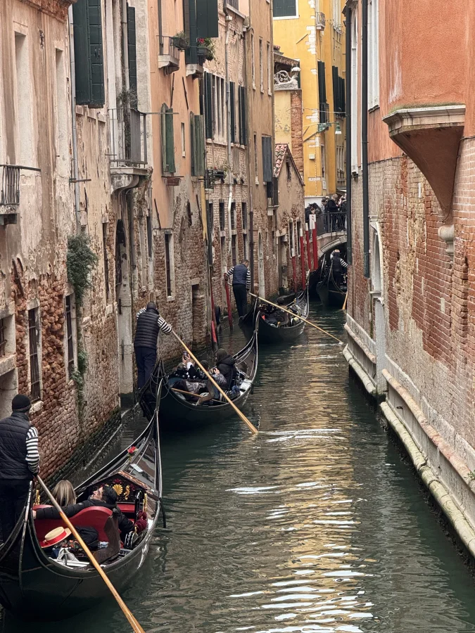 Venedig im Karneval - Ein poetisches Abenteuer